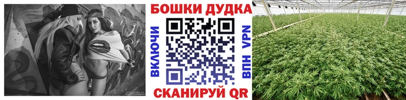 Каннабис планчик Волосово